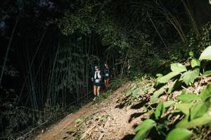 BIB: 
                            <button type="button" onclick="openModal(28106886)" class="btn btn-primary btn-sm float-right btn-popup" data-toggle="modal" data-target=".modal-high-quality">
                        <i class="fas fa-shopping-cart"></i> Add to Cart
                    </button>
                                            <button type="button" onclick="isThisMe(28106886, true)" class="btn btn-success btn-sm float-right btn-popup btn-isme hidden" data-toggle="tooltip" data-placement="bottom" title="นี่คือรูปของคุณใช่ไหม คลิกที่นี่เพื่อเอาเข้าอัลบั้ม">
                        <i class="fas fa-plus"></i> Add to album
                    </button>
                    <button type="button" onclick="isThisMe(28106886, false)" class="btn btn-warning btn-sm float-right btn-popup btn-isnotme hidden">
                        <i class="fas fa-ban"></i> Remove from album
                    </button>